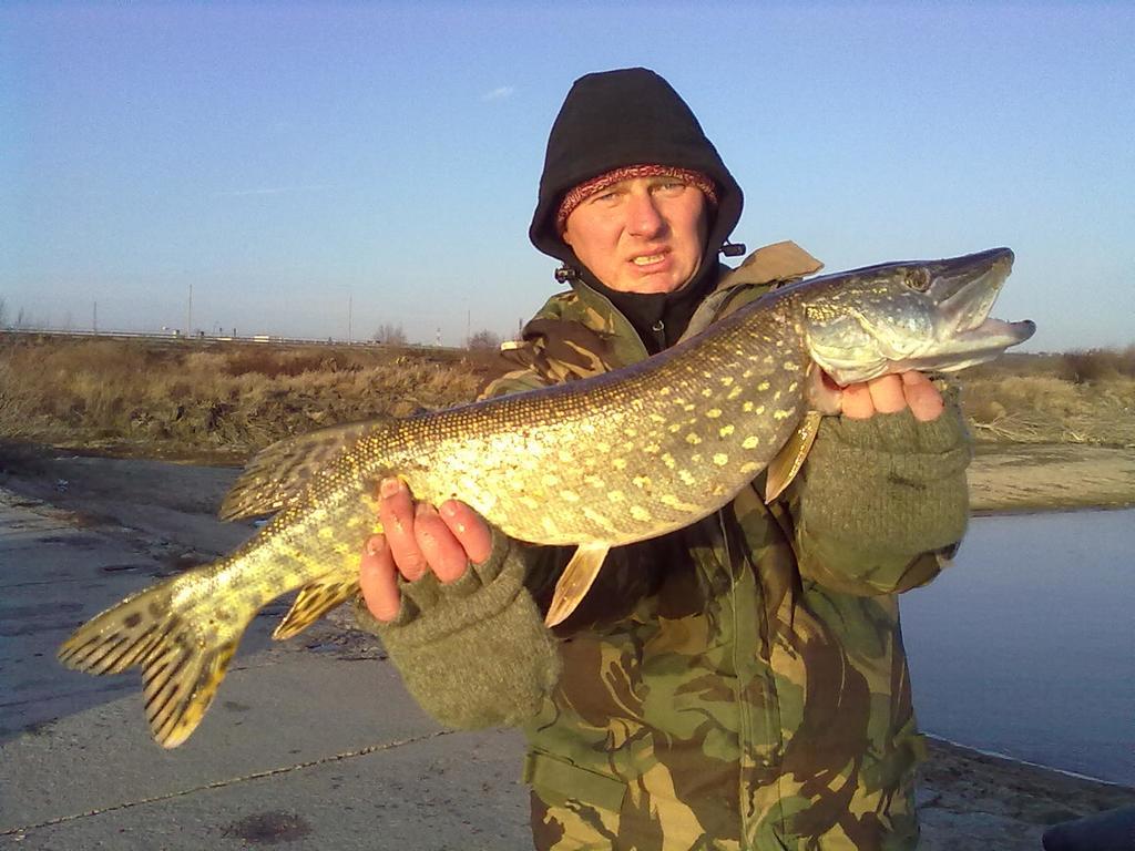 Gosciniec Kocmierzow Bed & Breakfast Sandomierz Luaran gambar